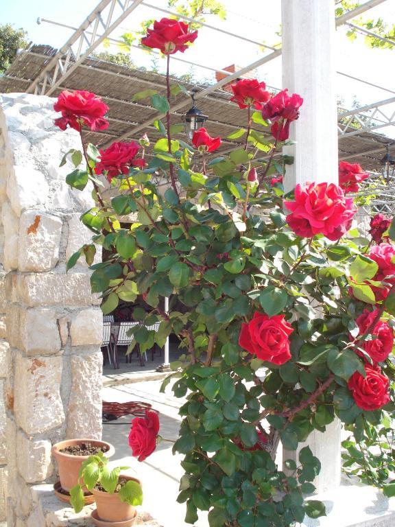 دوبروفينك Tri Sestre Rooms المظهر الخارجي الصورة